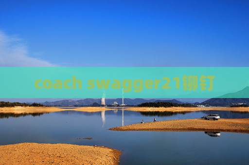 coach swagger21铆钉